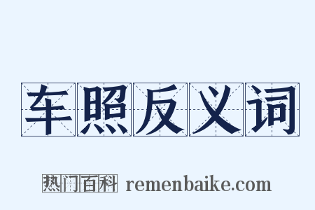 车照反义词是什么意思的图片